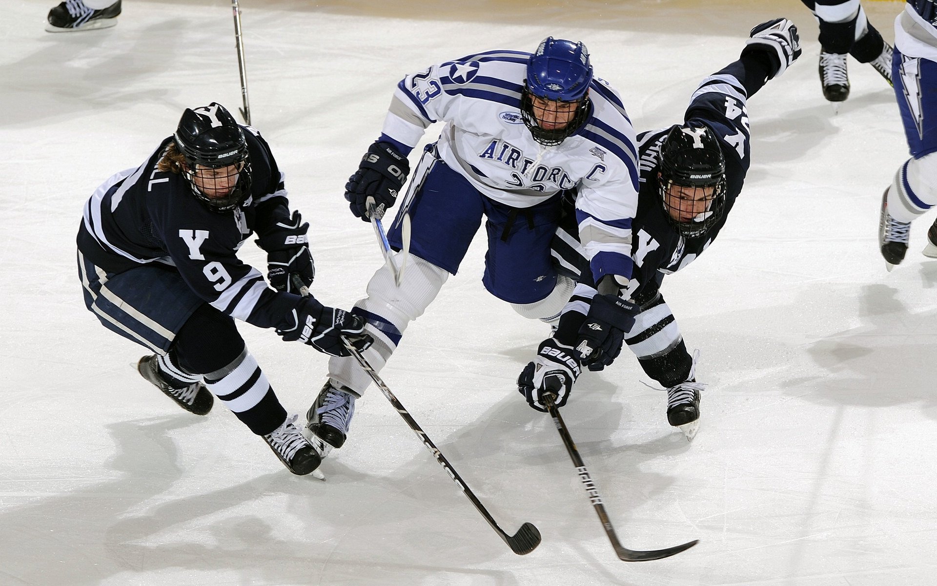 世界杯球迷文化发展,世界杯的历史文化